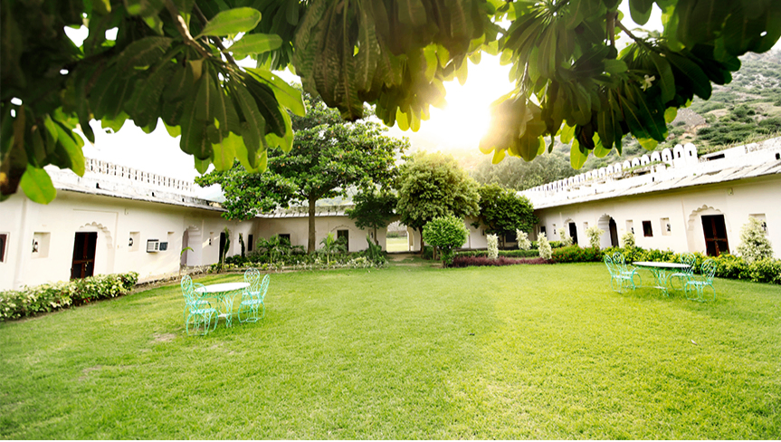 Lawn