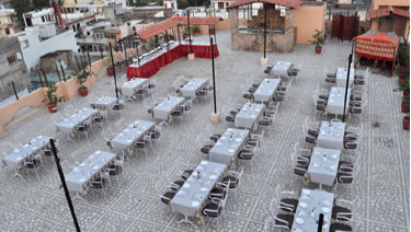 Terrace Lawn