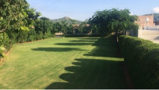 Mughal Lawn