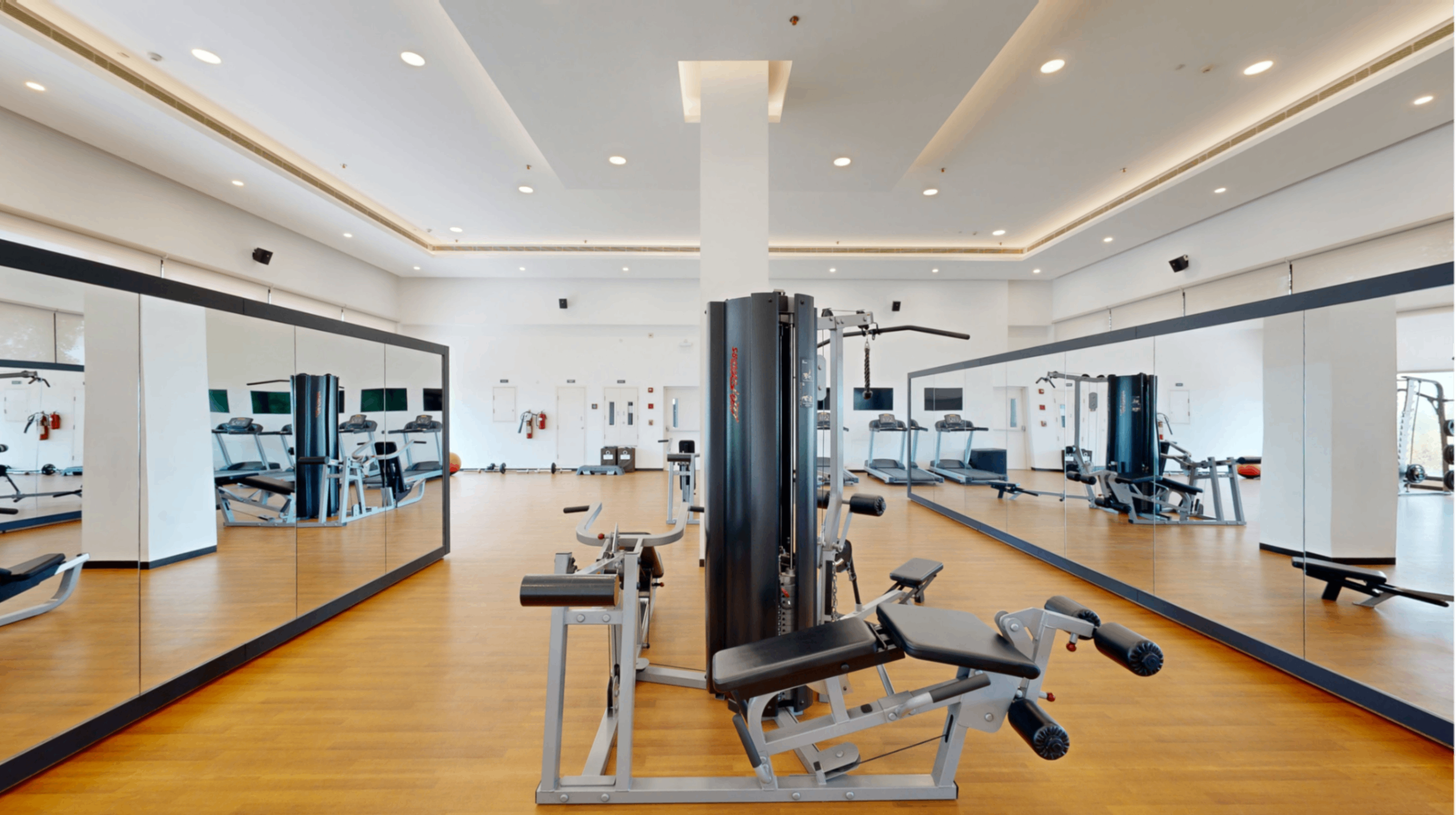 Gymnasium