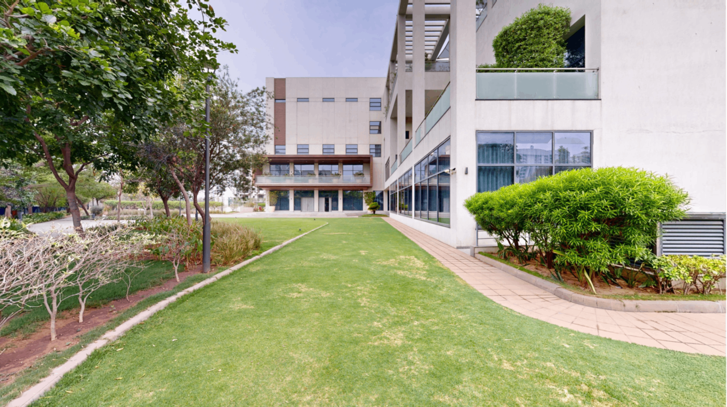 Lawn