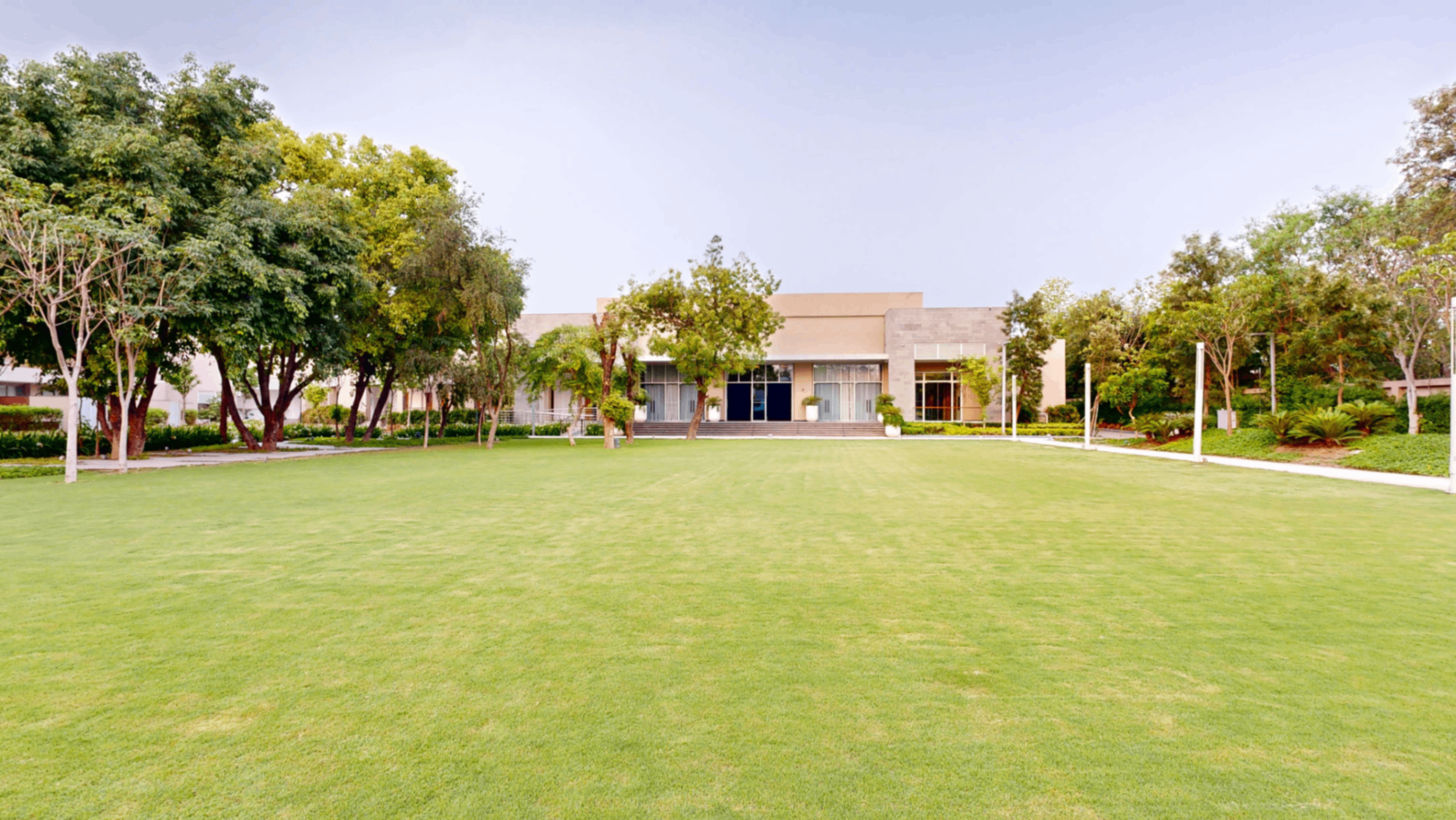 Lawn
