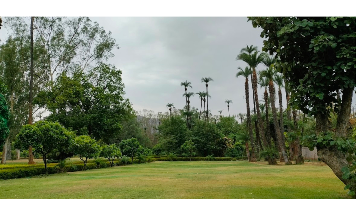 Croquet Lawn