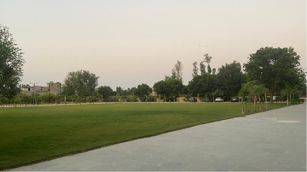 Century Garden