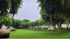 The Main Lawn