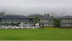 Lawn