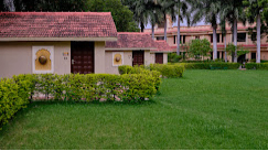 Deluxe Lawn	