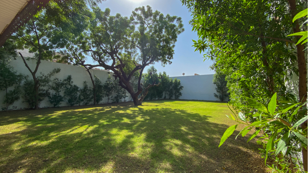 Lawn 2
