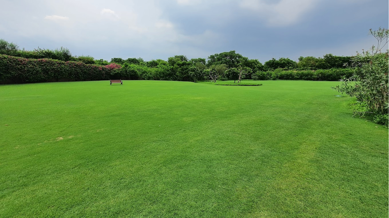 Lawn
