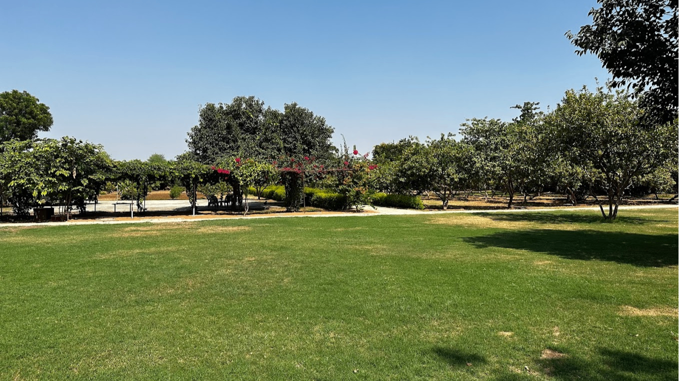 Marriage Garden