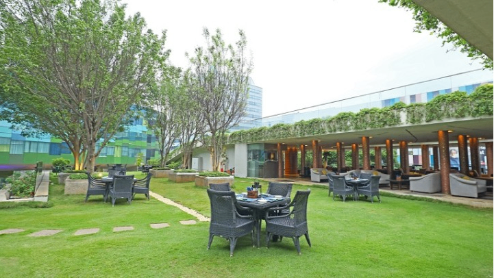Tease Lawns