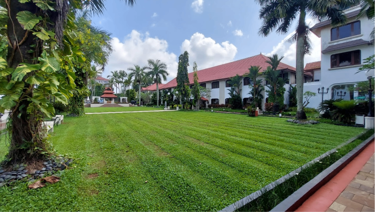 Lawn