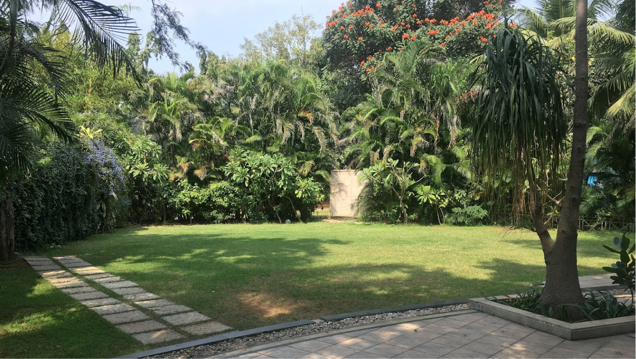 2nd Lawn