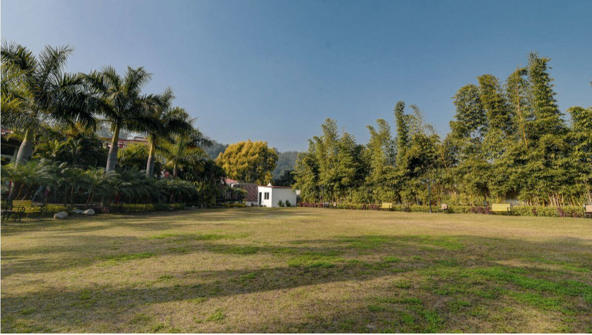 Lawn