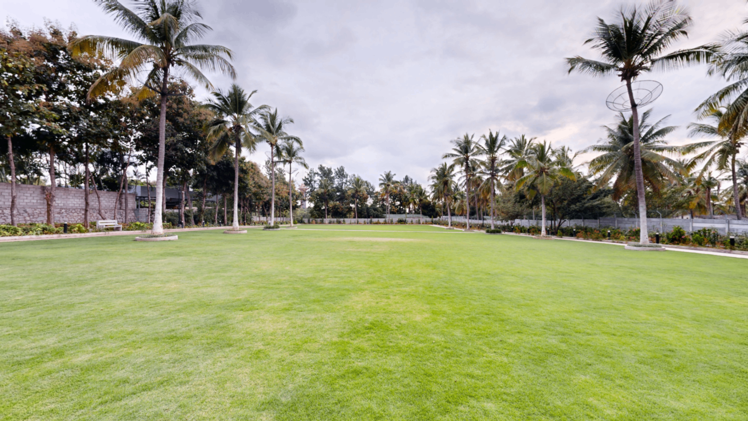 The Lawn