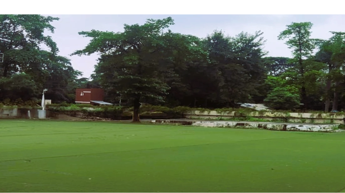Vatika Lawn