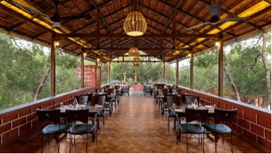 Tangerine Terrace