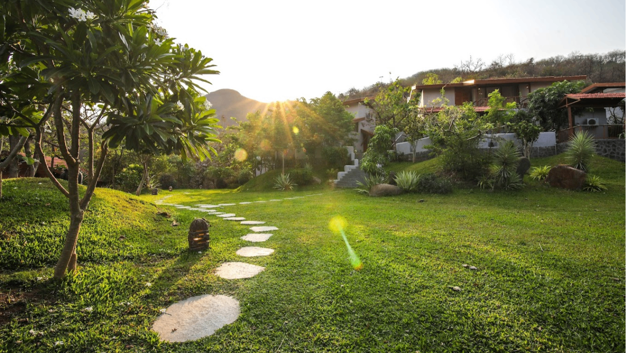 Lawn