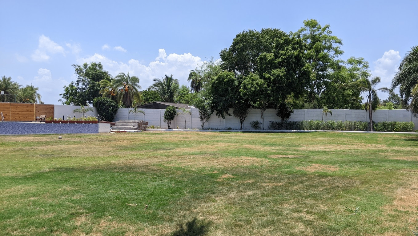 Lawn