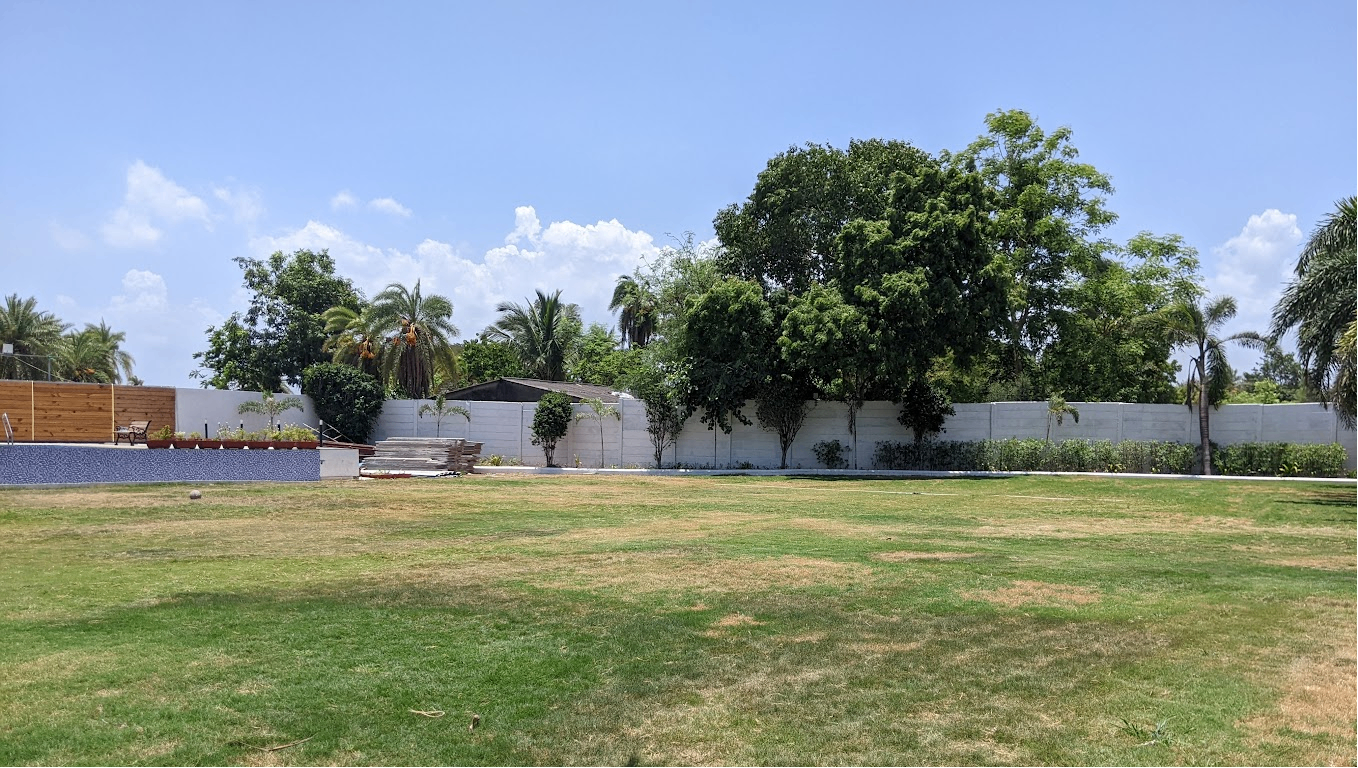 Amber Lawn	