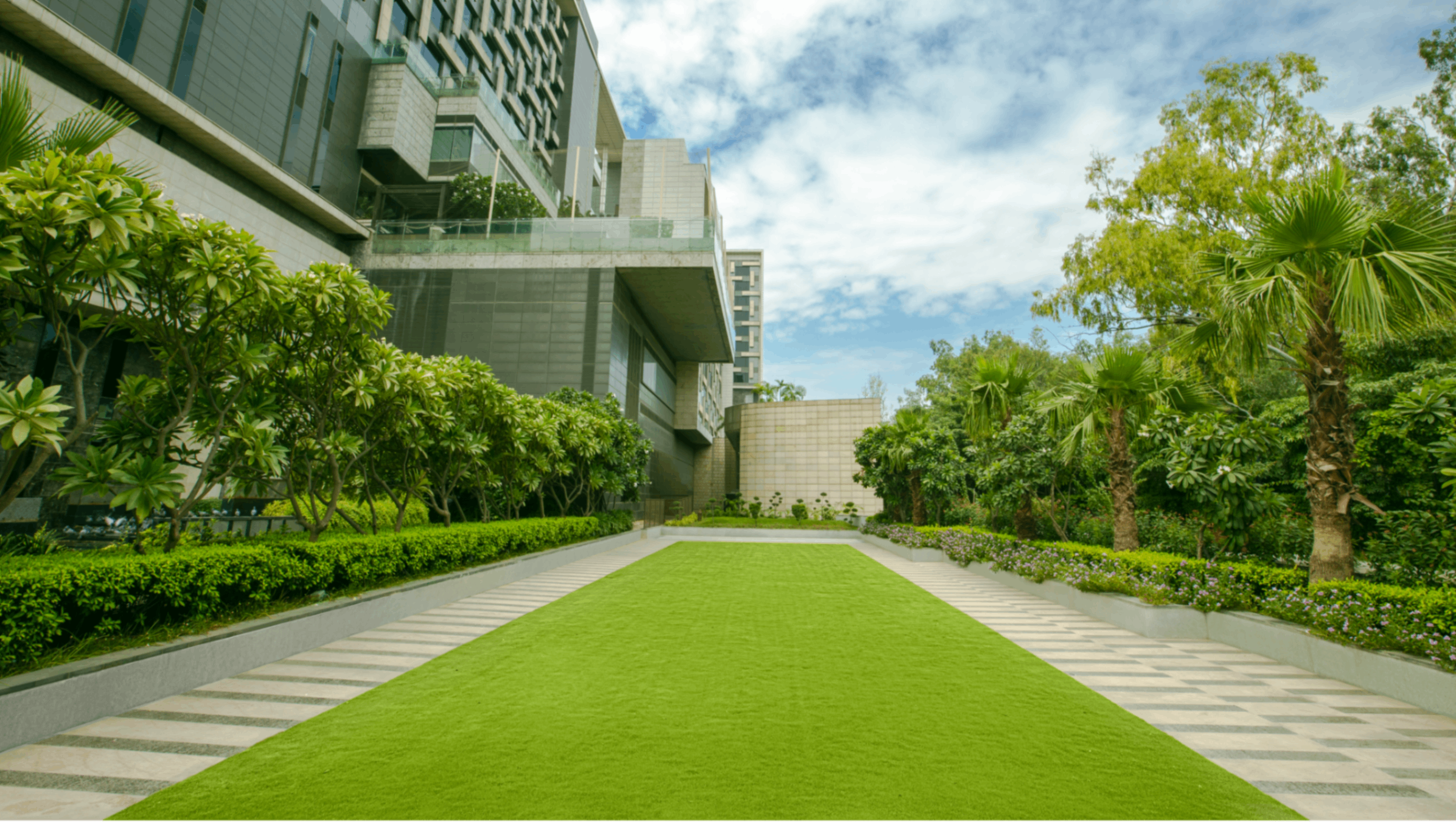 Lawn
