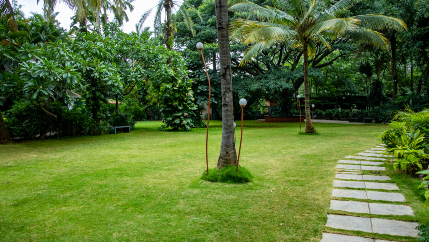The Raintree Lawns