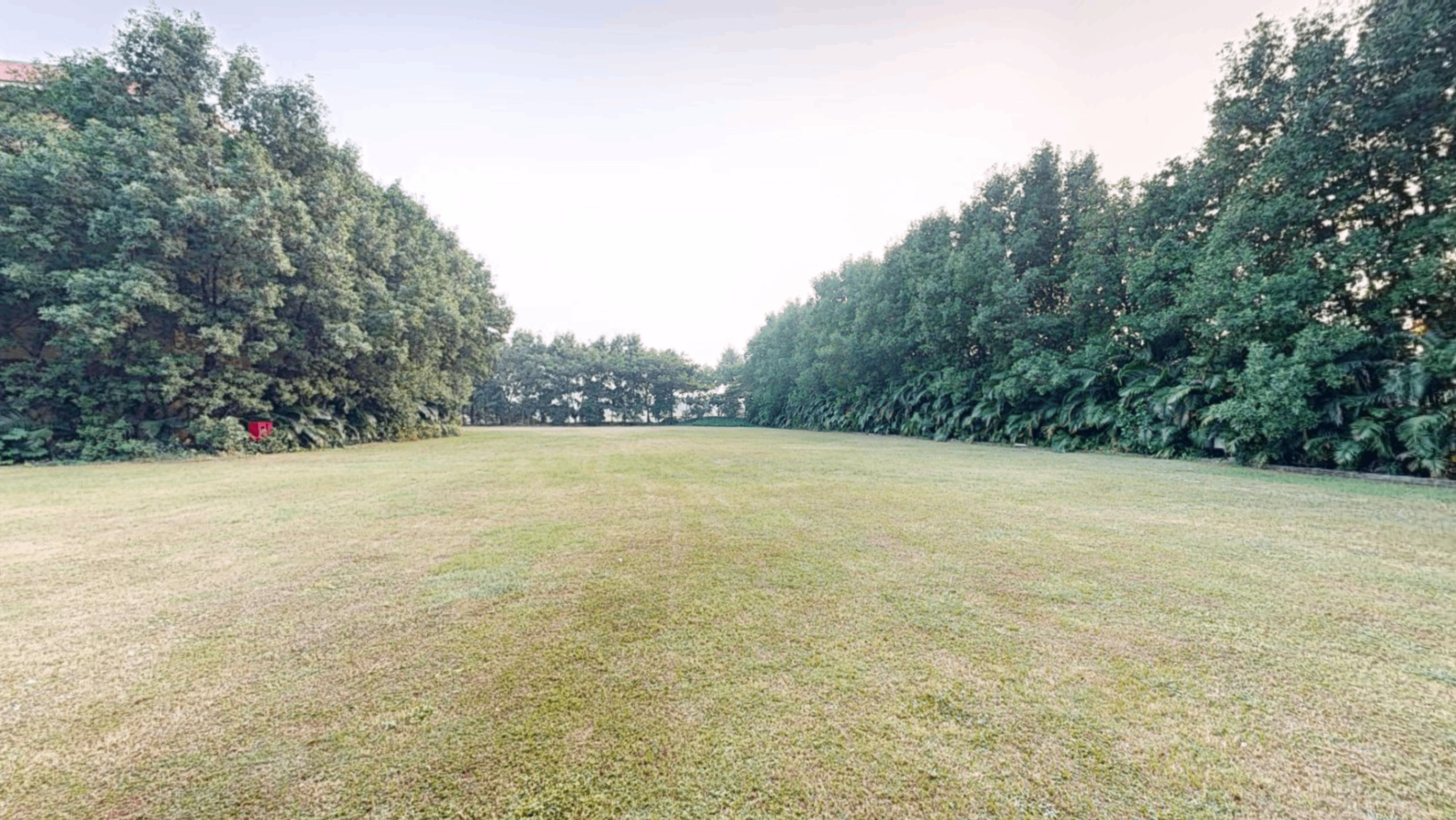 Lawn