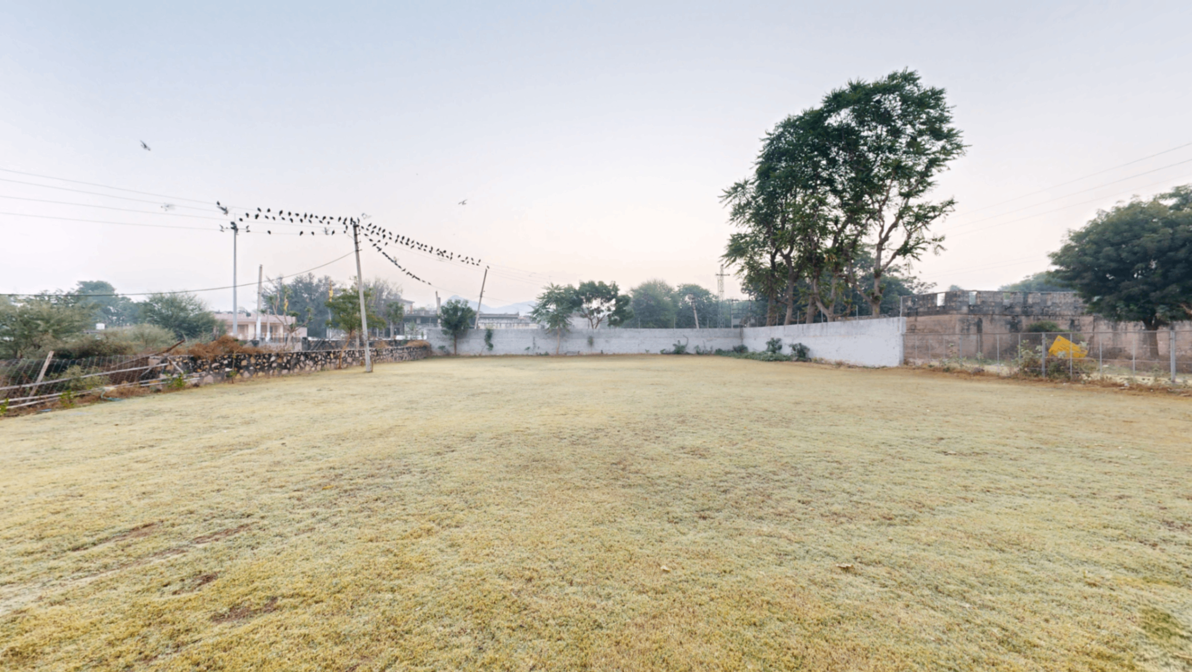 Lawn