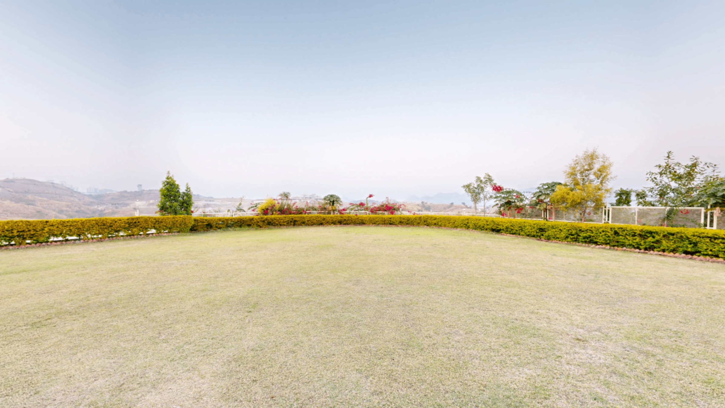 Lawn