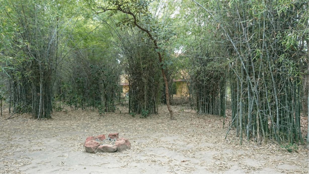 Lawn