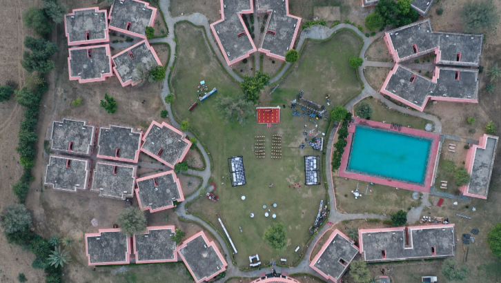 Lawn 3