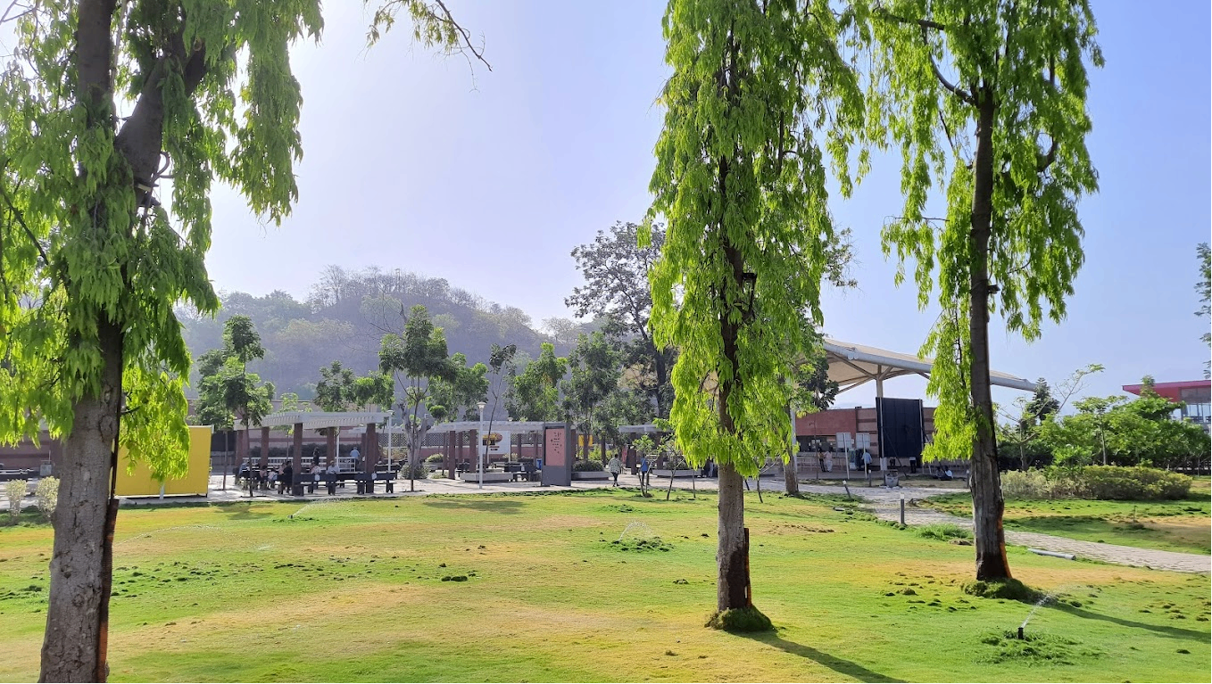 Lawn