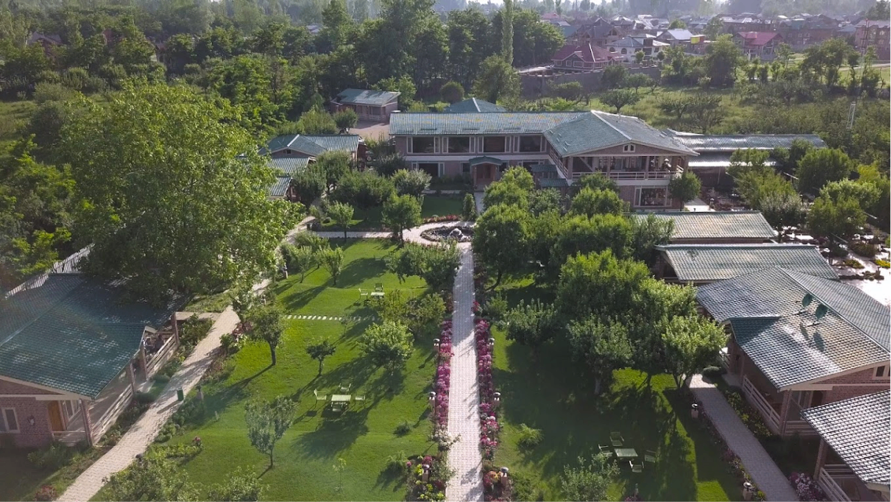 Lawn 2