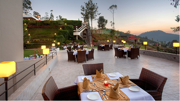 The Terrace