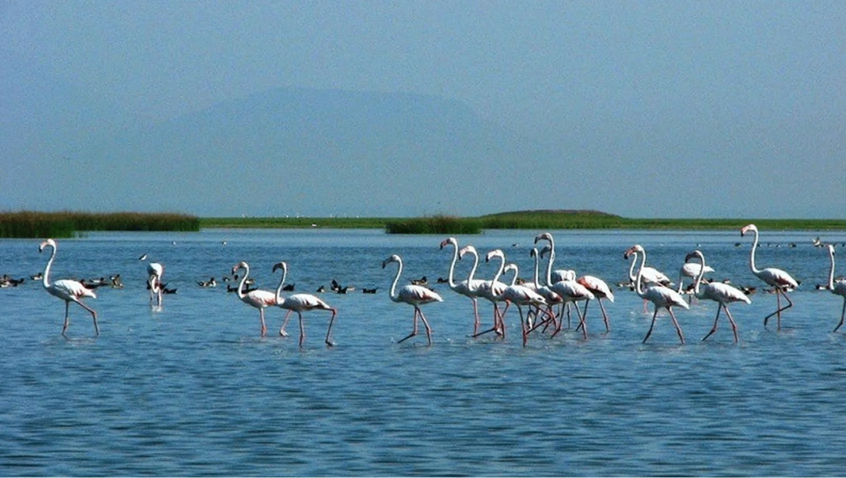 Chilika Lake
