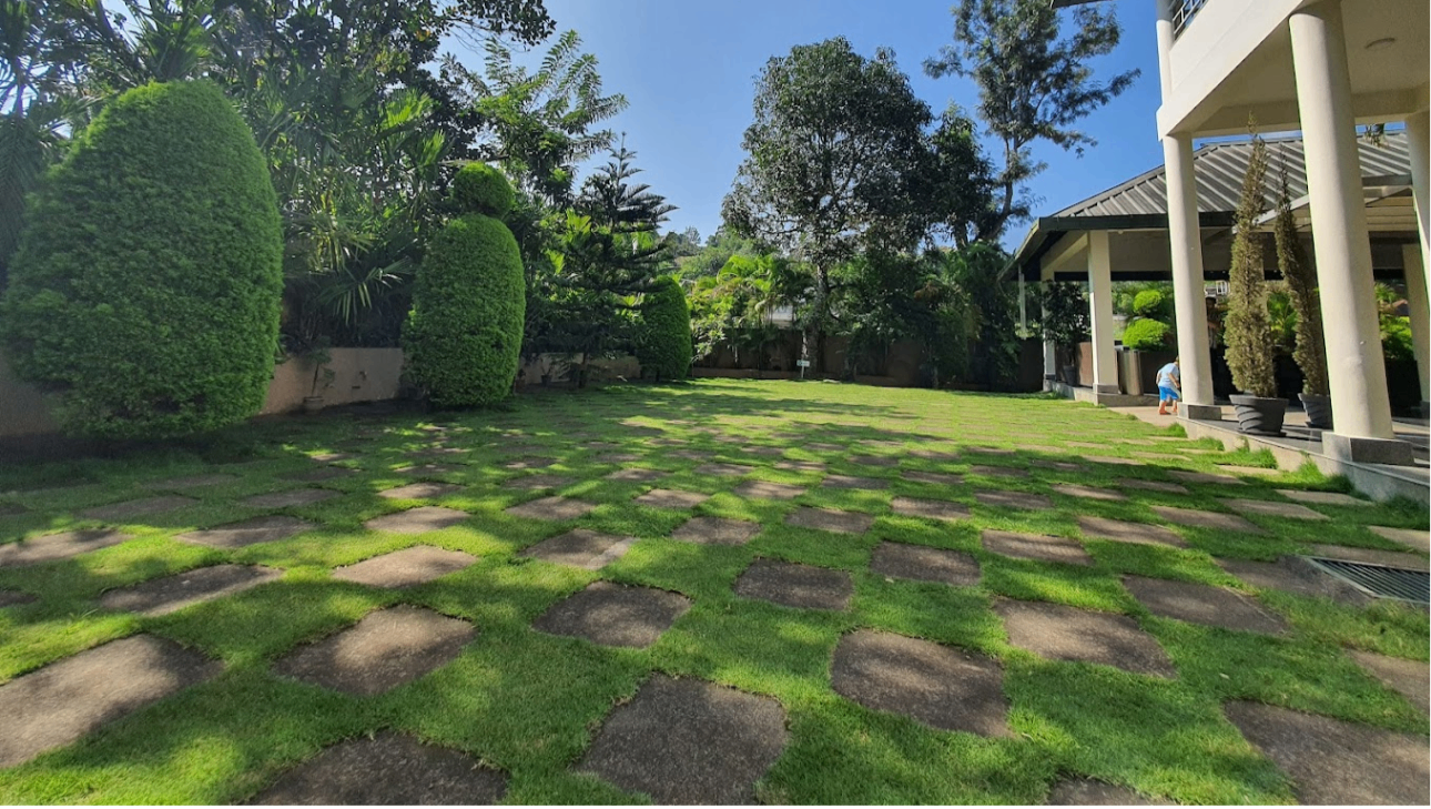 Lawn