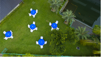 Lawn