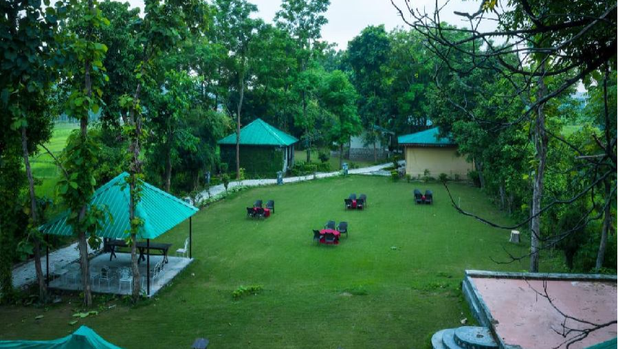 Lawn