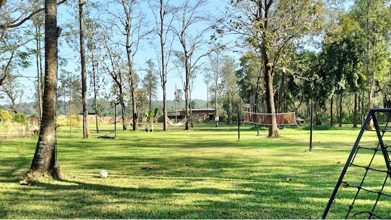 Lawn