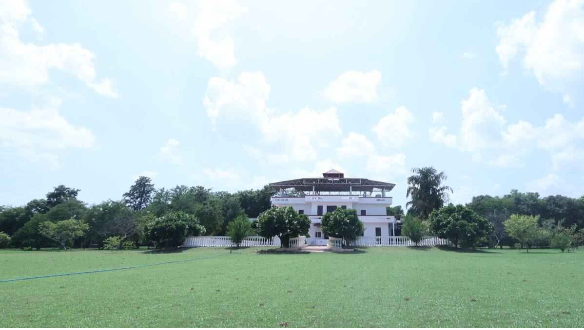 Lawn