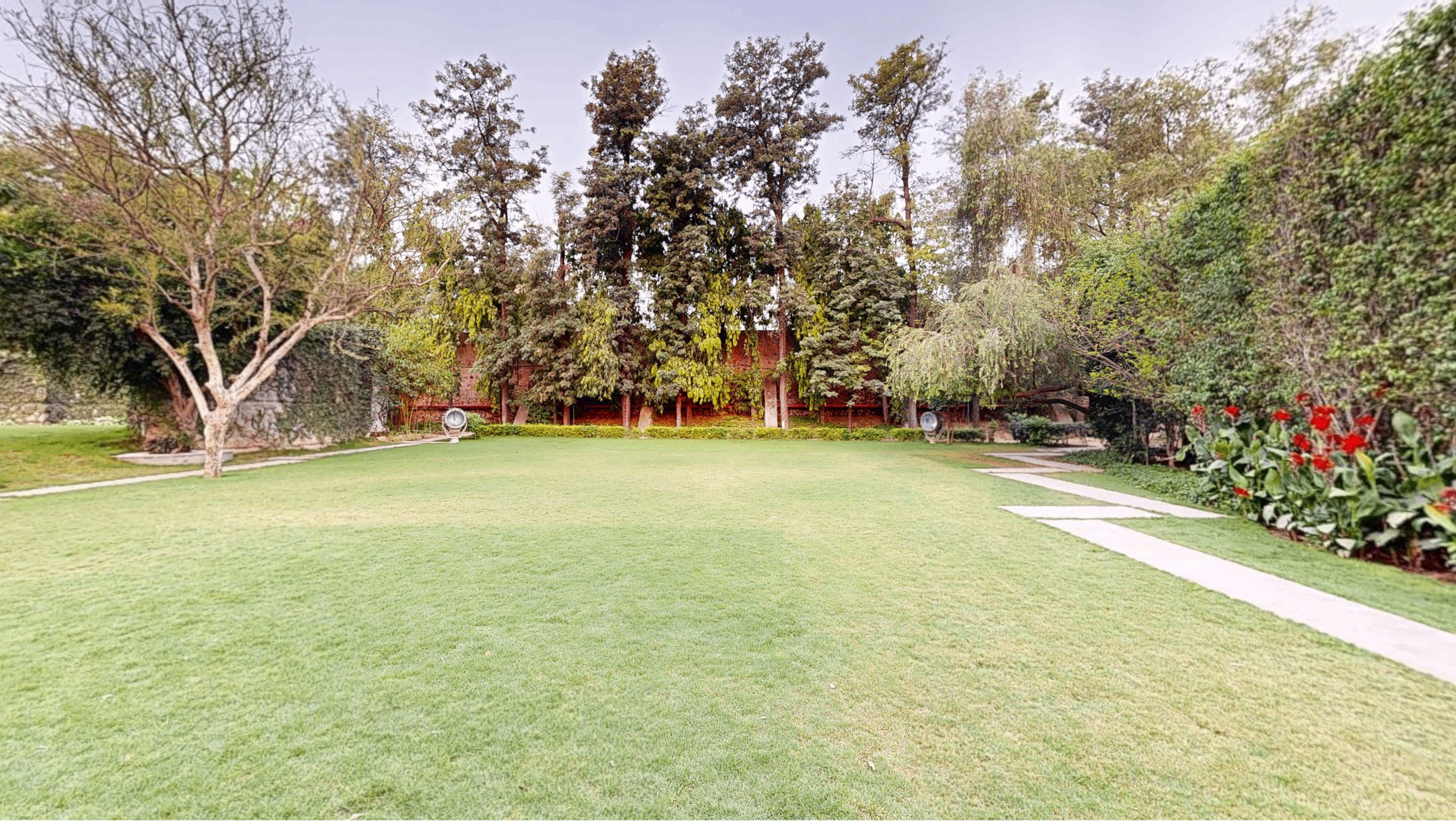 Lawn