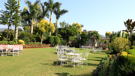 Open Lawn 1