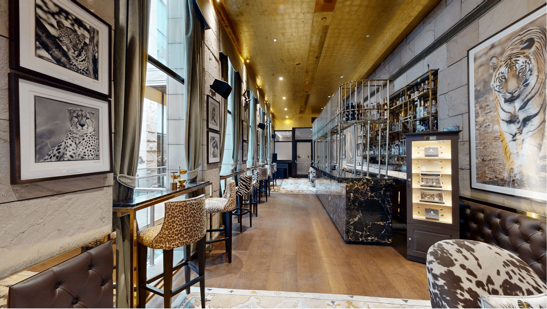 Safari Lounge