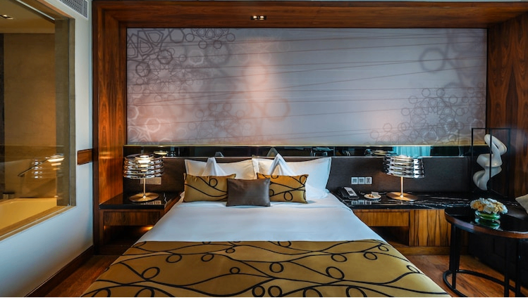 KING MOBILITY ACCESSIBLE TUB