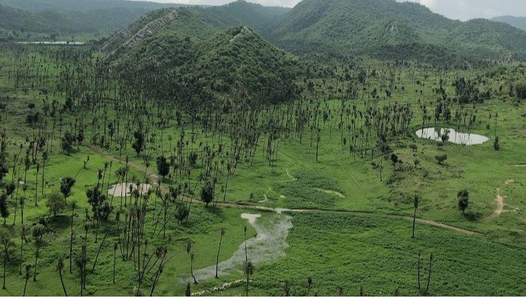 Sariska Tiger Reserve