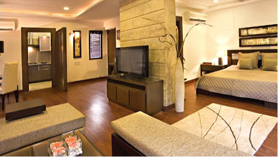 Pet-Friendly Studio Room