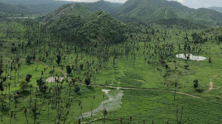 Sariska Tiger Reserve