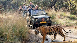 Ranthambore National Park