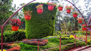 Munnar Rose Garden
