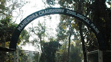 Mahendra Chaudhary Zoological Park